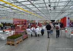 At the trial location.